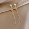 Brincos de Pérola Longos com Franjas de Alto Padrão Chegada Nova 2021 Brincos Modernos para Mulheres Simples Elegantes Leve Luxo Brincos de Celebridade da Internet