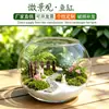 Tanque de peces redondo de vidrio jarrón hidropónico jarrón para plantas suculentas paisaje micro musgo botella de flores de vidrio adornos