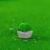 Jardinagem em miniatura, paisagismo com musgo, casa pequena, vila, modelo de castelo, acessórios decorativos DIY, miniaturas