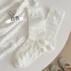 Calcetines de Estilo Nuevo de Verano para Mujer, Calcetines de Media Pantorrilla con Adorno de Encaje de Botones Estilo Japonés, Calcetines Suaves Delgados Huecos Sin Costuras