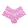 Bragas de Encaje Populares Transfronterizas Europeas y Americanas para Mujer con Forro de Algodón, Entrepierna Semi-Transparente de Algodón Puro, Hipsters Sin Costuras de Cintura Baja