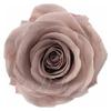 Llavero de Flor de Rosa, Colgante de Flor Eterna para Teléfono, Bola Redonda de Acrílico, Decoración de Accesorio para Bolsos, Regalo de Cumpleaños