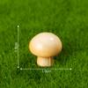 Simulación de micropaisaje, juego de comida, hongo pequeño, hongo, hongo, decoraciones de bricolaje, bolsa ciega, accesorios, mini botella ecológica, pequeños adornos