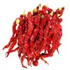 Nuevo producto: Pimiento línea Anjihai de Xinjiang, pimiento Qin, ligeramente picante, súper fragante, extra rojo, productos secados en granja, venta al por mayor de chiles de Xinjiang