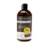 Champú Anti-Caída de Hoja de Platycladus Orientalis Transfronterizo Champú con Extracto de Hierbas para Engrosar y Prevenir la Rotura del Cabello Champú para Cabello Largo Inglés
