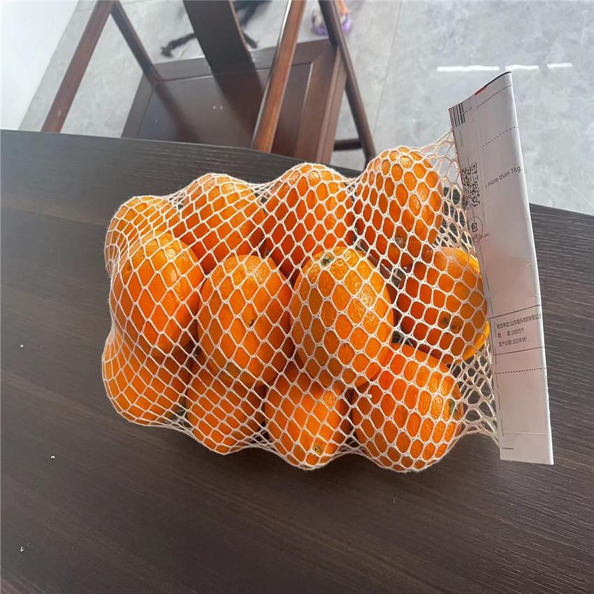微信图片_20240624100521_副本