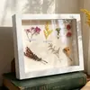 Moldura de foto com flor seca 3D material DIY A4 moldura de exposição de espécime oco feita à mão A3 moldura vazia para emoldurar plantas 6 polegadas Personalizável