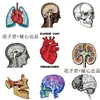50 pegatinas de órganos humanos para resolver el problema en estilo graffiti creativo decoración cuaderno cuenta manual pegatinas impermeables