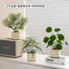 Plantas Verdes Artificiales, Flores Falsas, Flores Artificiales, Plantas Pequeñas de Escritorio en Maceta, Adornos Decorativos, Estanterías, Plantas Verdes Artificiales, Accesorios de Fotografía