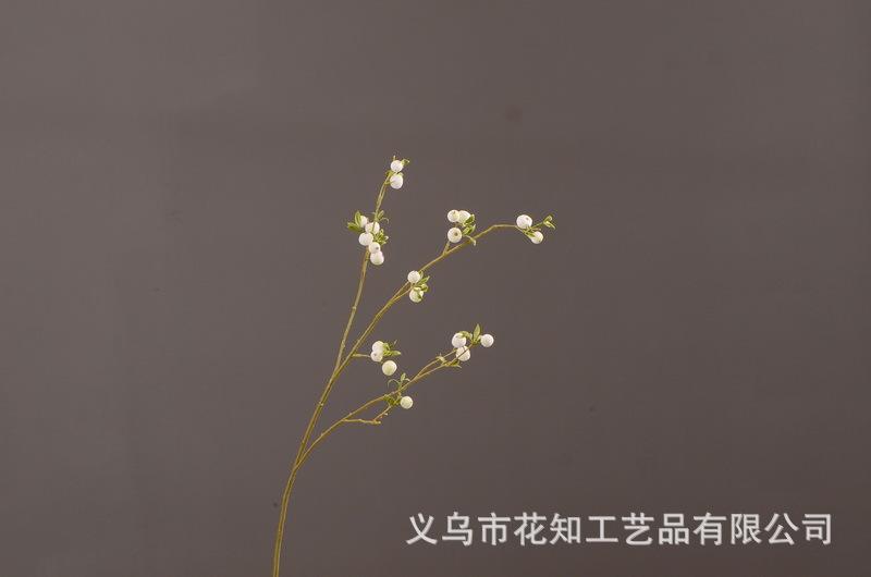 2-5白色安迪小白果.jpg