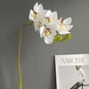 Orquídea magnolia de siete cabezas simulada en 3D, modelo de habitación moderna, diseño de recuerdo de boda de celebridades de Internet, flores artificiales decorativas