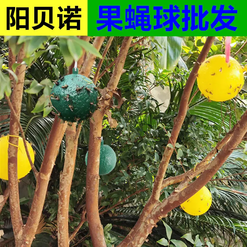主图