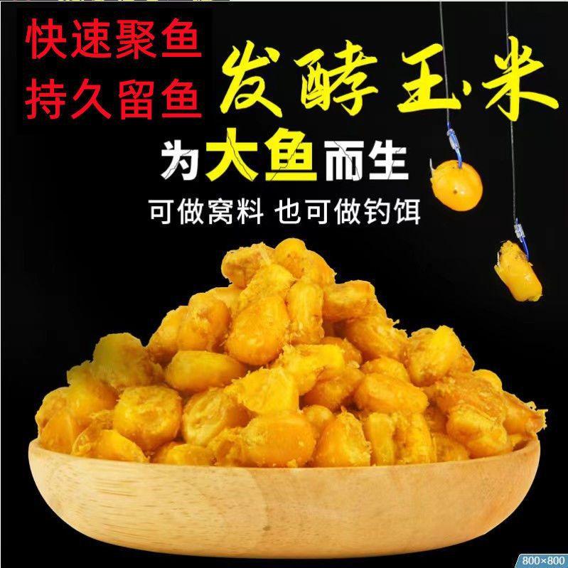 老坛发酵玉米粒窖坛五谷杂粮诱打窝料鲫草鲤鱼饵野钓大物水库重窝