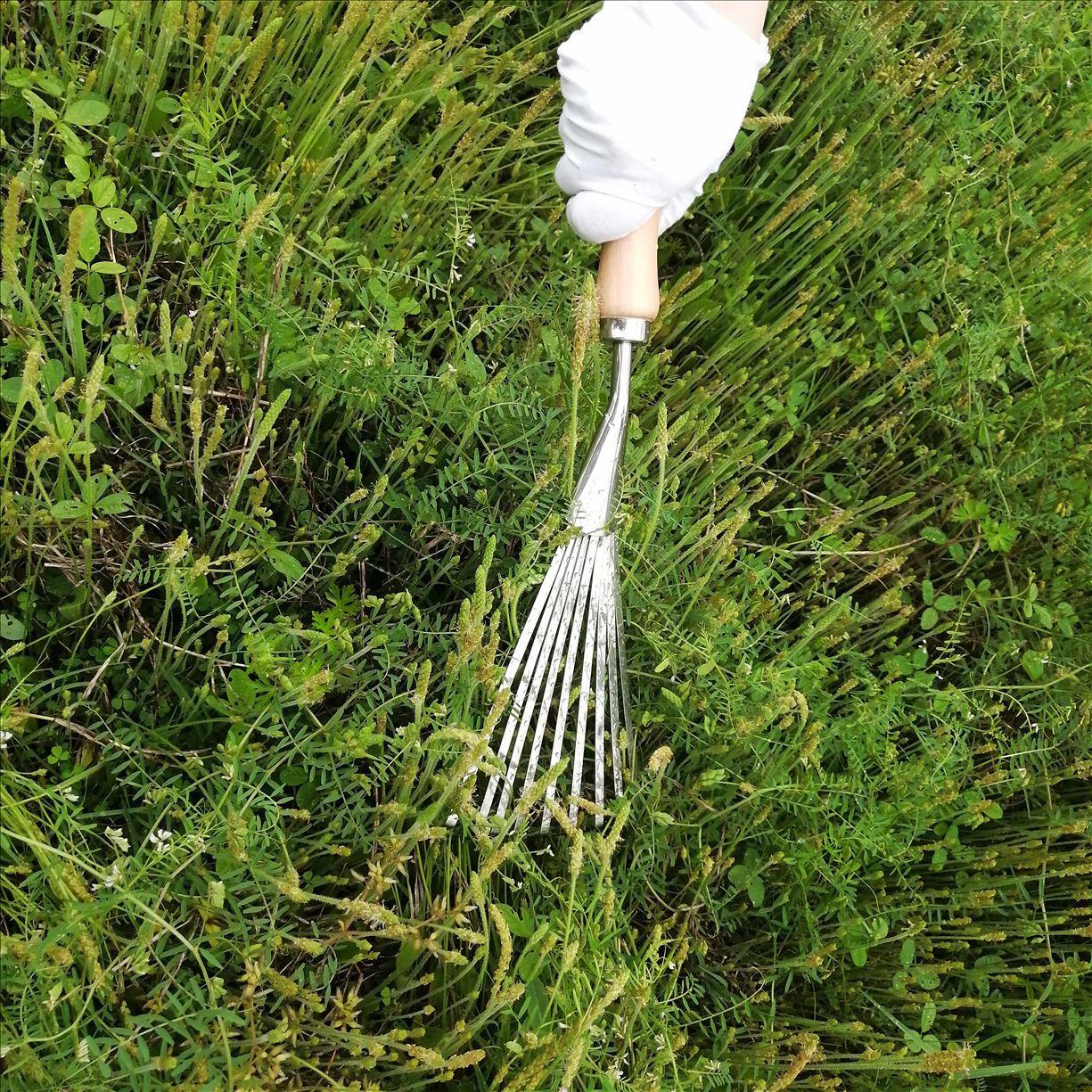 微信图片_20250419151959_已修改