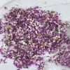 Confetes Populares de Rosas para Casamento, Pétalas Reais, Confetes Naturais, Pétalas de Rosa de Flores Secas para Decoração de Festa