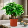 Planta em Vaso Árvore da Fortuna para Atrair Riqueza e Prosperidade, Bonsai de Mesa, Verde para Escritório, Sala de Estar Interna Estilo Chinês Zen Planta de Quatro Estações