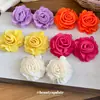 Pendientes de Flor de Gasa de Rafia con Aguja de Acero, Pendientes Dulces y de Nicho Estilo Vacaciones en la Costa, Pendientes de Lujo Ligero y de Gama Alta para Mujer