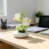 2 orquídeas phalaenopsis artificiais em um pequeno vaso raso, pedras falsas, bonsai de flor artificial, decoração de vaso de planta verde artificial para mesa