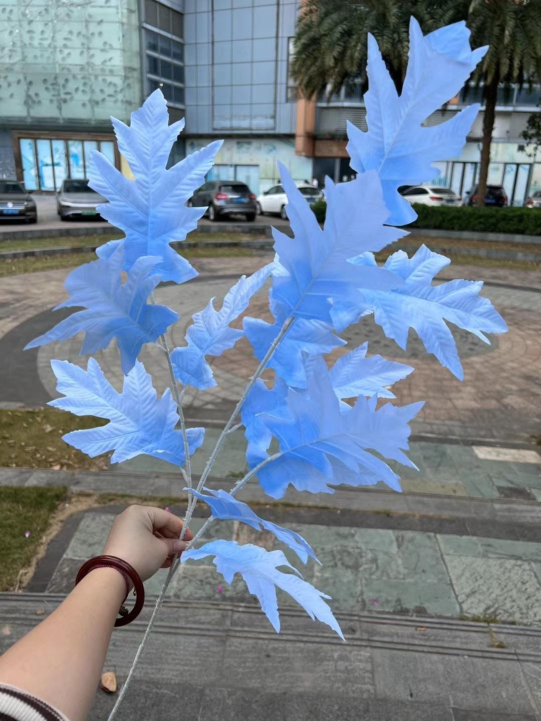 微信图片_20240729142707.jpg