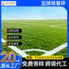Campo de Futebol de Grama Sintética, Tapete de Grama Verde Artificial, Cerca para Playground Externo, Campo de Futebol Campo Esportivo, Gramado Artificial