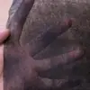 Tecido não tecido preto e branco material caixa de flores forro enchimento de almofada fundo capa contra poeira projeto de mudas rolo inteiro tecido