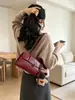 Bolso bandolera de diseño de nicho para mujer de moda, nuevo bolso de hombro bandolera elegante de moda coreana para primavera