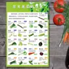 2025 Nueva Versión del Mural de la Torre de la Dieta Equilibrada para Residentes Pegatinas de Promoción de la Salud Tabla de Calorías de Alimentos Comunes Blanco Lechoso