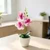Maceta Redonda Pequeña Transfronteriza Tres Orquídeas Phalaenopsis Planta en Maceta de Simulación Decoración de Entrada de Casa Mueble de TV Flor Artificial de Película Planta en Maceta