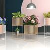 Estante de flores de estilo esquinero de hierro nórdico para sala de estar, estante de almacenamiento multifuncional simple para el hogar, estante de flores combinado al por mayor