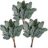 Galhos de Eucalipto com Ramos Curtos e Frutos, Folhas de Dinheiro, Folhas de Eucalipto de Haste Única para DIY, Folhagem Artificial para Decoração de Casa