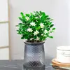 Rábano Verde Árbol de la Fortuna Espárrago Bambú Flor de Incienso de Nueve Millas Planta en Maceta Interior Menta Bambú Rico Planta Hidropónica Fácil de Alimentar