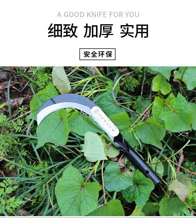 详情图片_3.jpeg