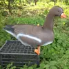 Cebo para aves de corral de simulación Canadá pavo americano jardín pato falso cebo de caza pato flotante ganso ruso