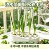 Caja de cultivo para regeneración de cebolleta hidropónica, sin mantenimiento, caja de cultivo fácil para balcón y alféizar, herramienta casera para cosecha rápida de cebolleta