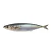 Venta al por mayor Transfronteriza 15cm 33.5g Señuelo Blando de Caballa 3D, Atún Listado, Atún Rojo, Señuelo de Caballa Realista sin Plomo