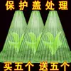 Cubierta Protectora para Plántulas Cubiertas de Campana Transparentes Tienda de Cultivo de Invernadero Reutilizable contra Daños por Pájaros y Heladas Protección Engrosada