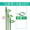 5 Hastes de Suporte para Plantas para Orquídeas, Proteção de Folhas, Monstera, Caladium, Estrutura de Suporte para Jardinagem, Fixação Antiderrapante para Flores