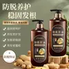 Shampoo Nutritivo Anti-Queda de Cabelo com Gengibre, Shampoo Volumizador com Controle de Oleosidade de Folha de Platycladus Orientalis, Shampoo Nutritivo, Produto Clássico Chinês