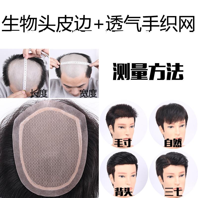 生物头皮边