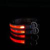 Nuevo collar luminoso solar LED collar intermitente recargable por USB cuerda para el cuello luminosa para Teddy suministros para mascotas