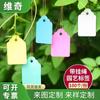 100 hojas etiqueta de jardinería de plástico impermeable protector solar color marca de cría etiqueta de jardinería etiqueta de semilla de flor