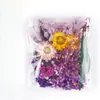 Flores Secas, Flores Preservadas, Kits de Material para Manualidades, Marcos de Fotos Navideños en Forma de Abanico, Velas Aromáticas, Coronas, Fabricante de Yunnan al por Mayor