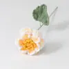 Flores de Peonía Terminadas Tejidas a Mano con Hilo de Lana Flores Tejidas Muebles Creativos para el Hogar Flores Regalos del Festival de Primavera