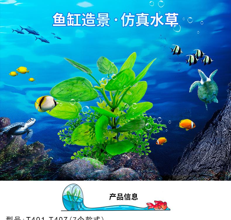 详情_01.jpg