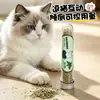 Snacks para gatos con hierba gatera en polvo, juguetes para gatos adultos y gatitos, menta en polvo, tubo de ensayo de 45 ml (botella)