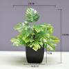 Venda quente transfronteiriça Simulação de planta Planta falsa Planta verde Decoração interna e externa Simulação de eucalipto em vaso de plástico Planta pequena em vaso