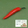 Modelo de verdura de plástico de simulación, frutas y verduras falsas, tomate, berenjena, adornos decorativos para fotografía, accesorios, materiales didácticos cognitivos para niños