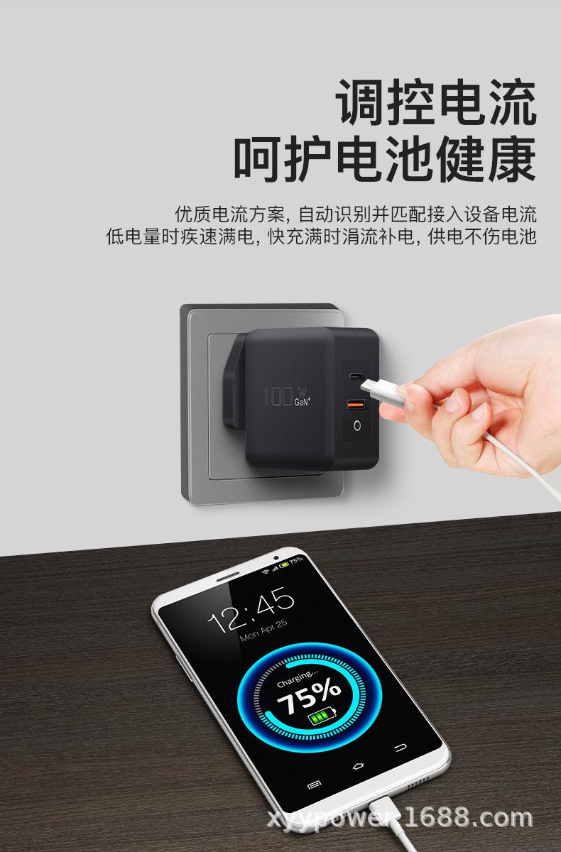 PD100W氮化镓C+A英规