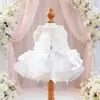 PETCIRCLE Roupa para Pet Cachorro Pequeno Filhote Fofo Estilo Princesa Pet Vestido Vestido Ballet Moonlight
