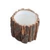 Venta al por mayor del fabricante Cubo para Arreglos Florales de Corteza Cubo para Plantas Suculentas Regalo para el Día del Maestro Navidad Tubo de Flor Decorativo Tubo de Flor Creativo